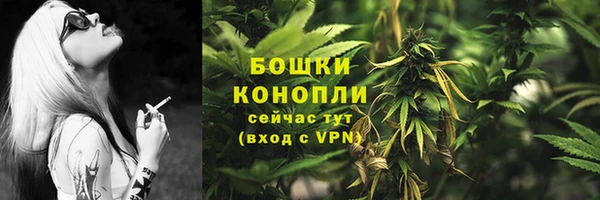 индика Михайловка