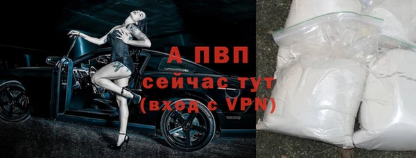 индика Михайловка