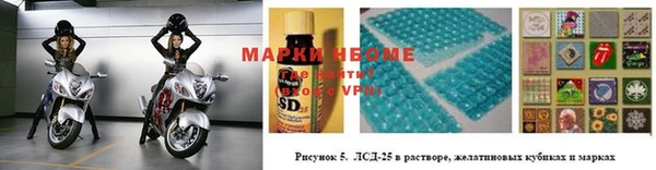 индика Михайловка