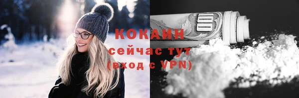 индика Михайловка