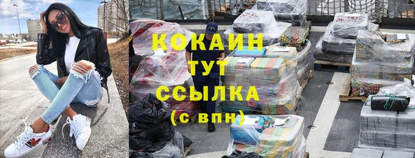 индика Михайловка