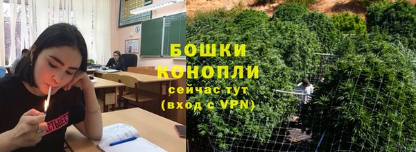 индика Михайловка